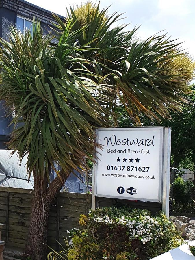 Westward B&B New Quay Exteriér fotografie