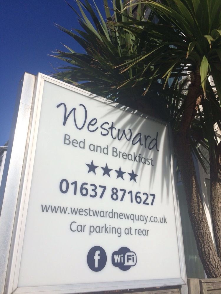 Westward B&B New Quay Exteriér fotografie